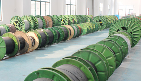 什么是電伴熱系統(tǒng)今后發(fā)展的方向？(圖1)