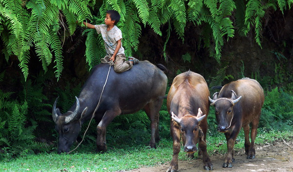 立志當(dāng)立天下志，求名當(dāng)求萬世名(圖1)