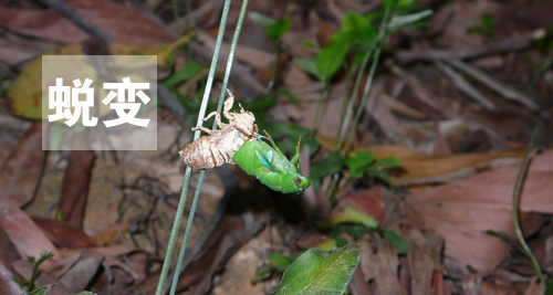 用心感受世界，因活著而幸福(圖4)
