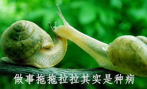 拒絕拖延從今天開始，明天會(huì)更好(圖4)